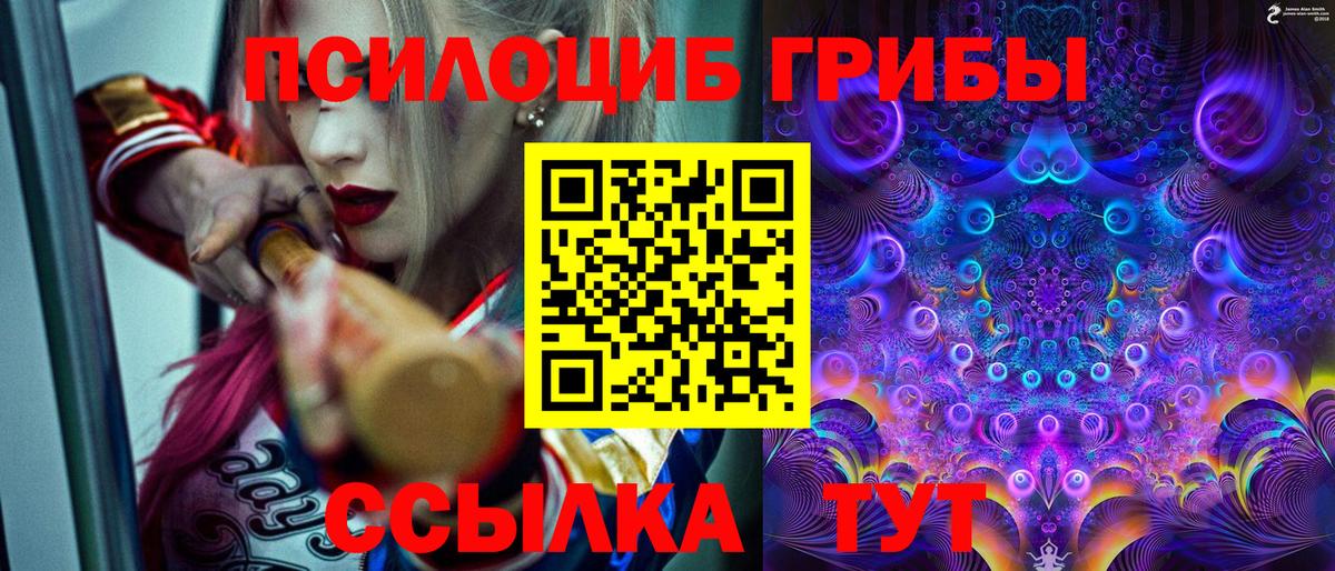 Псилоцибиновые грибы Psilocybe Острогожск
