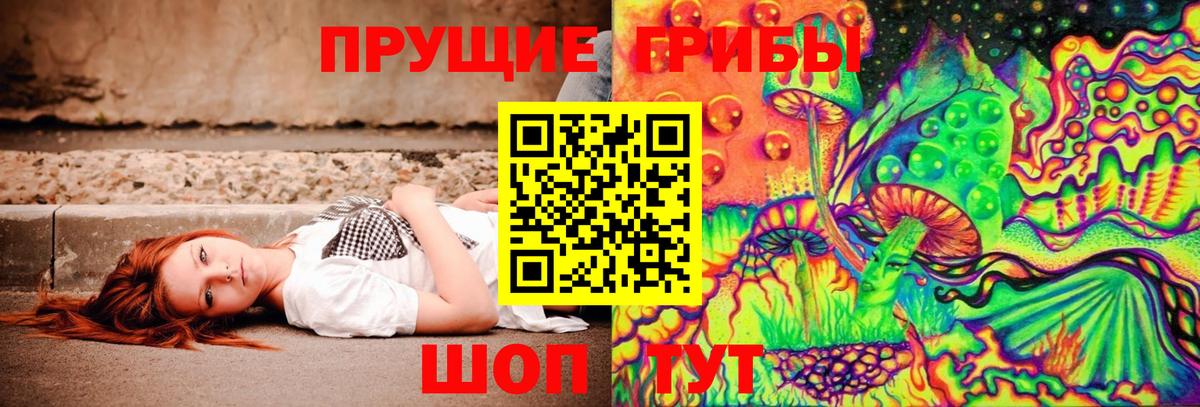 Острогожск  цена   Вход с VPN  Псилоцибиновые грибы GOLDEN TEACHER 